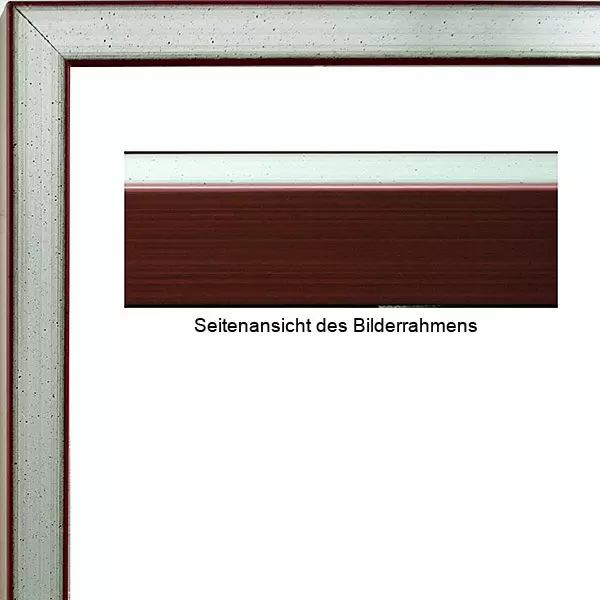 x James Rizzi Bilderrahmen Aubergine mit Museumsglas-20 x 24cm