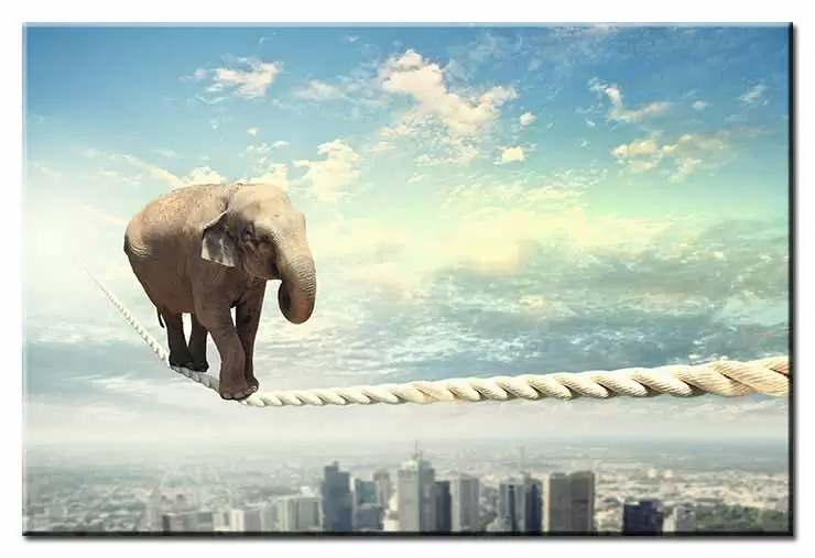 Modernes Leinwandbild - Tanz auf dem Seil - Elefant über der Stadt-20 x 30 cm