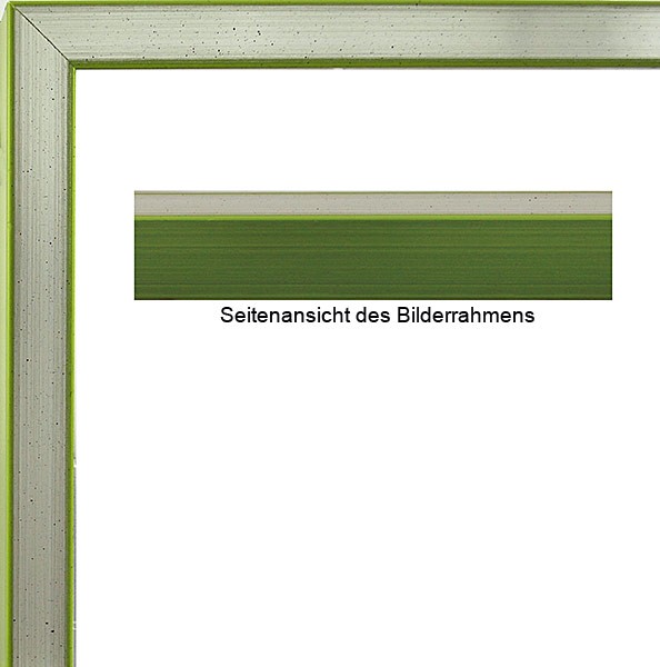 James Rizzi Bilderrahmen Silber-Apfelgr�n mit Museumsglas-30 x 40 cm