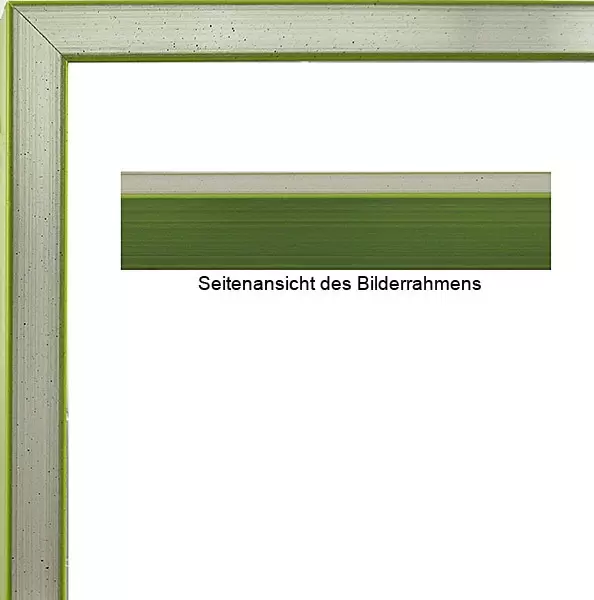James Rizzi Bilderrahmen Silber-Apfelgr?n mit Museumsglas-30 x 40 cm