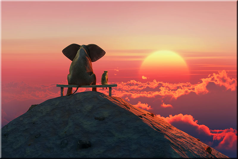 Modernes Leinwandbild - Beste Freunde - Elefant und Hund auf dem Gipfel