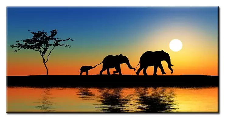 Modernes Leinwandbild - Elephant Walk-20 x 40 cm