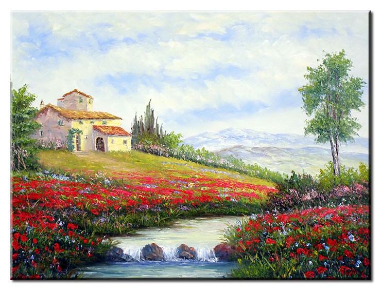 Totti Moreno - Landhaus mit Mohnwiese