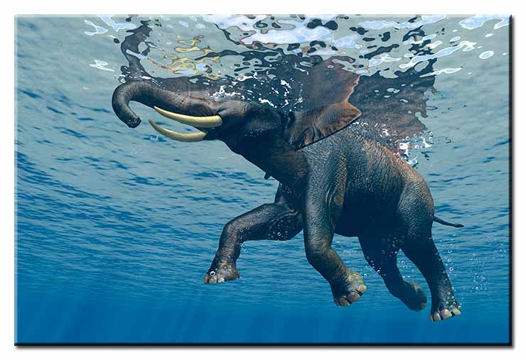 Modernes Leinwandbild - Jumbo Bubbles 2 - Elephant under water-20 x 30 cm